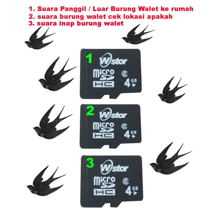 Jual Suara Panggil / Luar Burung Walet, suara cek lokasi walet dan suara  inap burung walet Bird&rsquo;s Nest Indonesia|Shopee Indonesia