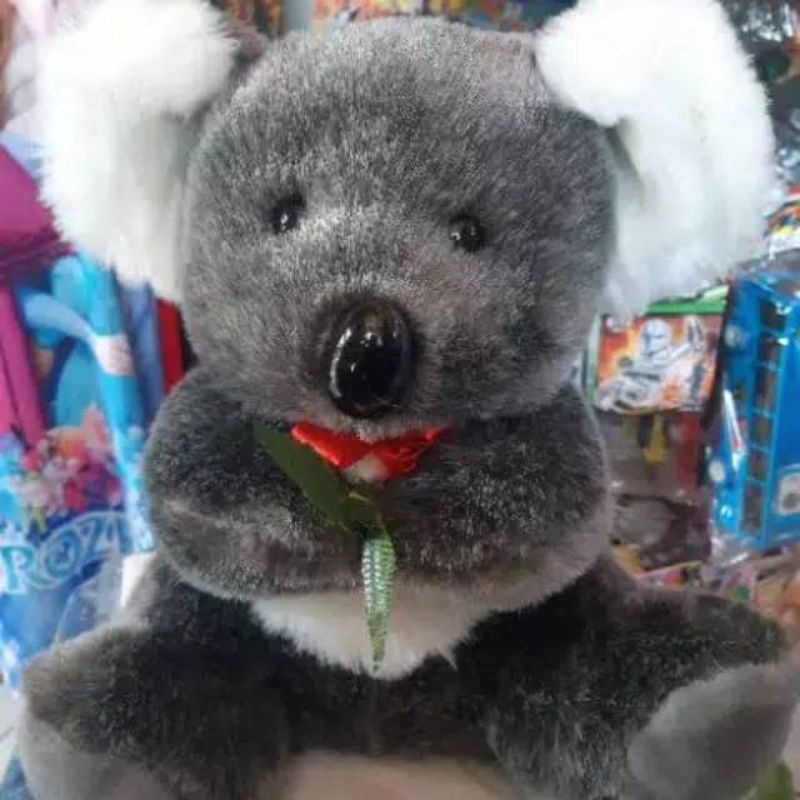 Populasi satwa ikonik australia, koala saat ini terancam punah. Jual Boneka Koala Indonesia Shopee Indonesia