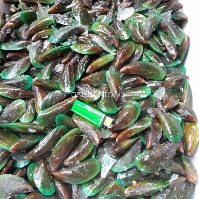 Kerang hijau fresh 1kg | Shopee Indonesia