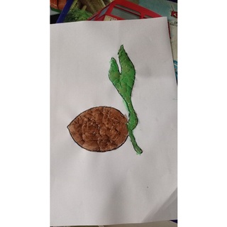 Jual Kolase Tunas Kelapa Dari Kulit Telur Indonesia|Shopee Indonesia 320_X_320_jpg