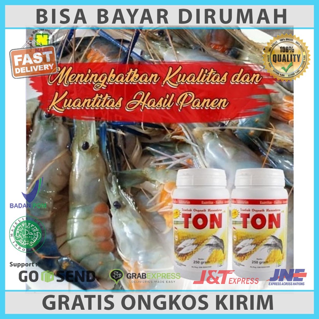24/01/2018 · dalam kegiatan pembesaran ikan, secara umum pupuk yang sering digunakan dapat dibedakan menjadi dua yakni pupuk anorganik dan organik. Pupuk Tambak Organik Ton Mempercepat Pertumbuhan Ikan Udang Bandeng Terbaik Shopee Indonesia