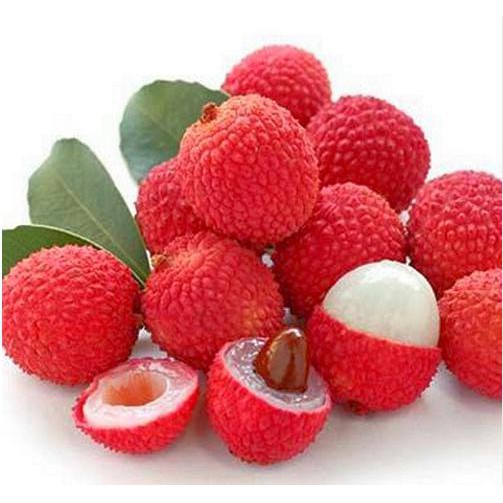 Biji Buah Leci (Lychee Fruit Seeds) Import | Shopee Indonesia