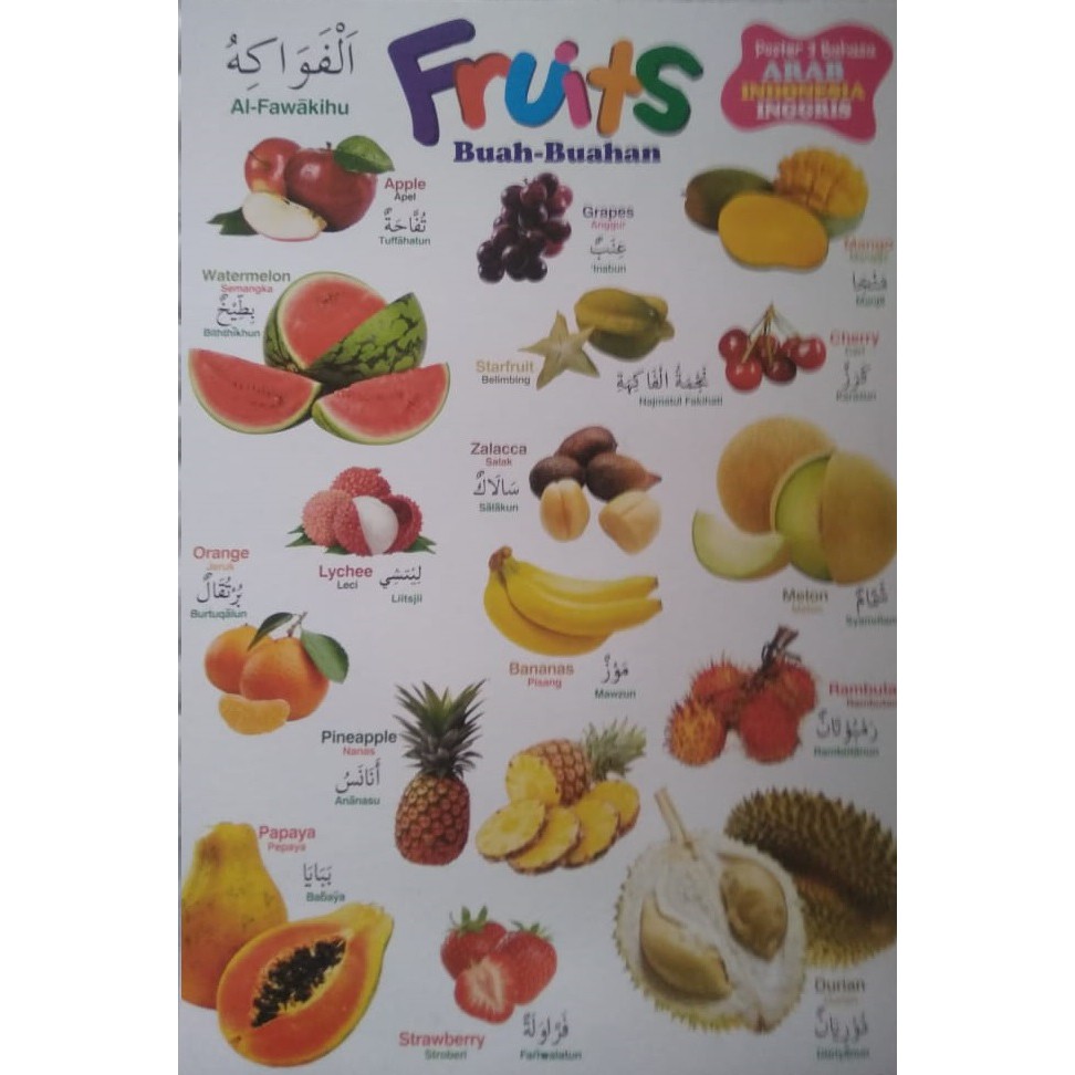 Simak pembahasan lengkap beserta contohnya berikut ini. Jual Murah Poster Edukasi Belajar Mengenal Buah Buahan Dalam 3 Bahasa Arab Inggris Indonesia Paud Tk Shopee Indonesia