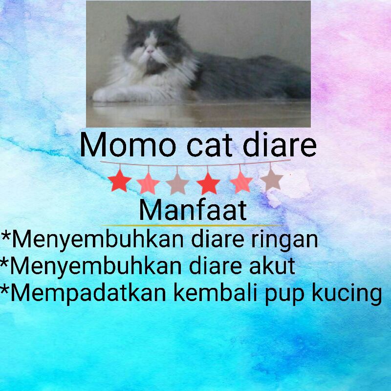 Sanggup menyewa di luar selepas kantoi! Obat Diare Kucing Paten Shopee Indonesia