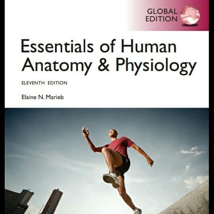 Tersedia ✓ gratis ongkir ✓ pengiriman . Jual Essentials Human Anatomy And Physiology 11th Eleventh Edition Marieb 11 Indonesia Shopee Indonesia