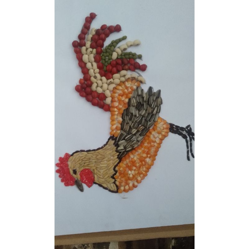 Jual Kolase Ayam Jago Dari Biji-Bijian Indonesia|Shopee Indonesia 800_x_800_jpg