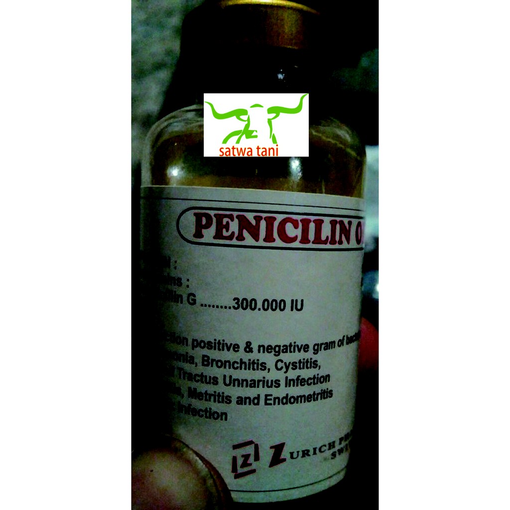 PENICILLIN OIL 20 ml | Shopee Indonesia