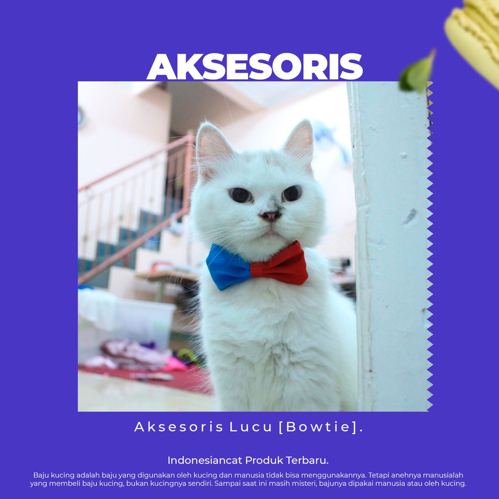 Check spelling or type a new query. Baju Kucing Model Aksesoris 32 Half Bowtie Biru Merah Lucu Untuk Kucing Size Kitten Adult Shopee Indonesia