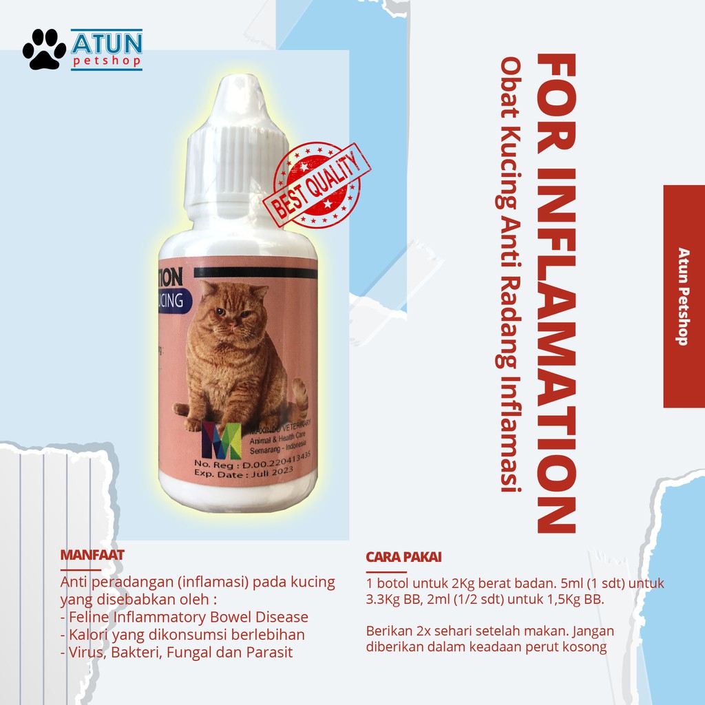 Penyembuhan penyakit terkadang harus dengan konsumsi obat yang mahal. For Inflamation Drop Obat Anti Inflamasi Radang Pada Kucing Shopee Indonesia