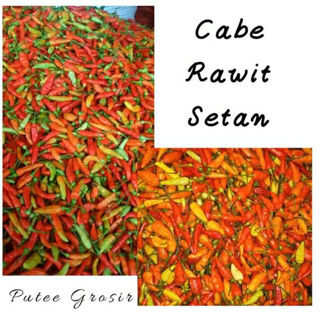 Siapkan cabai rawit · 3. Cabe Rawit Setan Super Pedas 250gr Shopee Indonesia