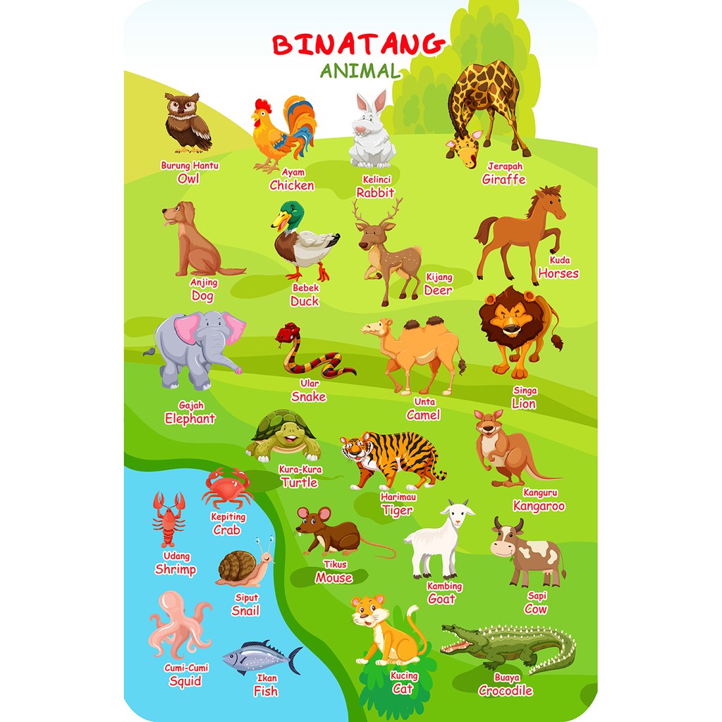 Misalnya nih, sebelum belajar menggambar secara bertahap, . Jual Poster Belajar Anak Tk Paud Mengenal Huruf Abjad Binatang Huruf Hijaiyah Media Mainan Edukasi Shopee Indonesia