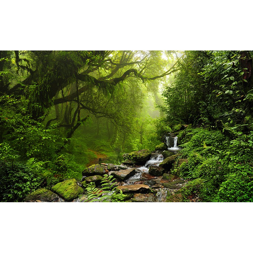 Jual Wallpaper Custom Pemandangan Hutan - Photowall/Mural Indonesia|Shopee Indonesia 822_X_822_jpg