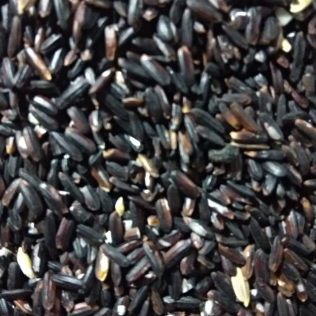 BERAS KETAN HITAM 1KG | Shopee Indonesia