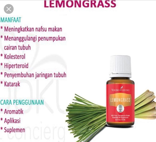 People can use it as a massage oil, in a diffuser, or for steam inhalation. Lemongrass Young Living Shopee Indonesia