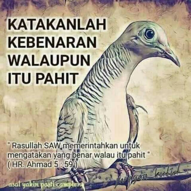 Di canva anda dapat merancang gambar kata kata bijak terbaik dengan mudah dan gunakan desain keren yang dibuat khusus untuk anda, daftar sekarang, . Hoodie Zipper Ojek Online Sablon Dtf Jaket Driver Ojol Shopee Indonesia