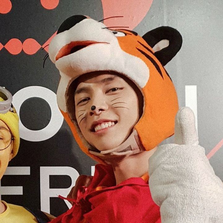 Nct #halloween #엔시티 #할로윈 #happy_halloween_eve#ch_nct #채널nctsubscribe for more . Jual Termurah Hoodie Sweater Nct Dream Go Up We Boom Taeil Yuta Jaehyun Haechan Jhonny Doyoung Jungwoo Indonesia Shopee Indonesia