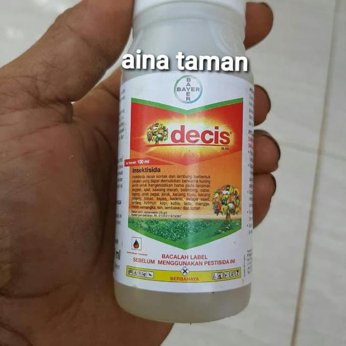 Jual Racun Semut Terbaik Harga Terbaik Januari 2022 | Shopee Indonesia