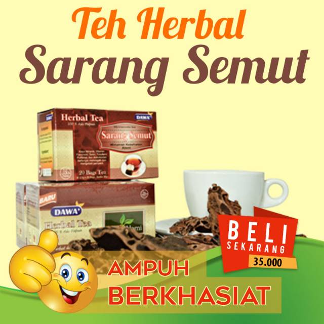 Jual Teh Herbal Sarang Semut Papua Obat Herbal Kanker Obat Tumor  Indonesia|Shopee Indonesia