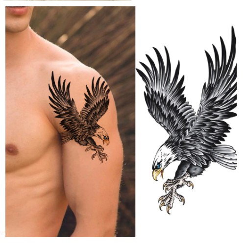 Tatuagem Temporária Águia Removível - Pronta Entrega - 20X9Cm - Melhor Preço - Ff-37 | Shopee Brasil 502_x_502_jpg