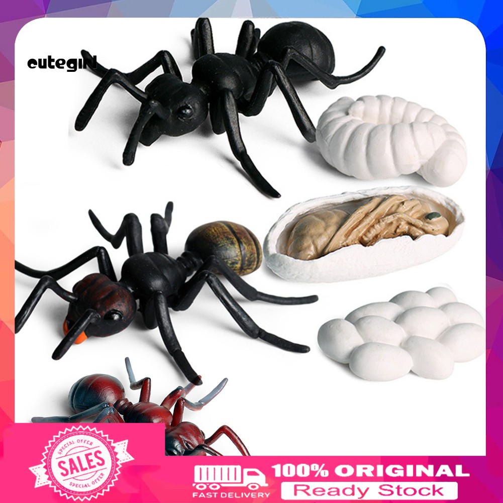 Compre o melhor xadrez vintage a um preço com desconto em pt.dhgate.com. Cute Conjunto De Estatueta De Crescimento Da Formiga Com Simulado Animal Brinquedos Educativos Shopee Brasil