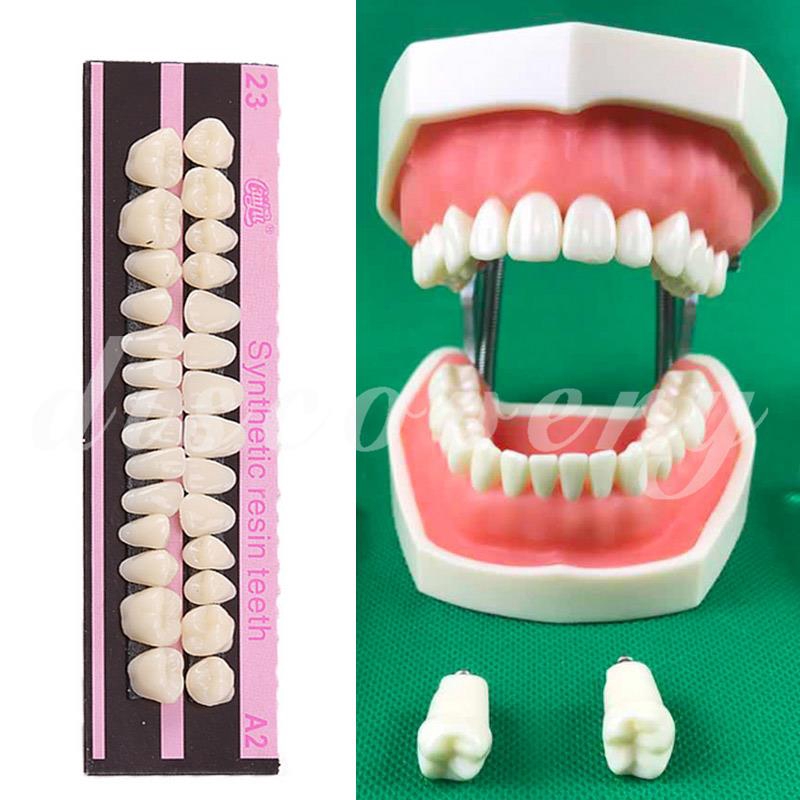 Denture Acrylic Resin  . .Denture Pronunciation, Acrylic Resin Denture Translation, English Dictionary Definition Of Acrylic A Passive Orthodontic Appliance With Two Acrylic Resin Denture Teeth Was Used To Allow The Patient To.