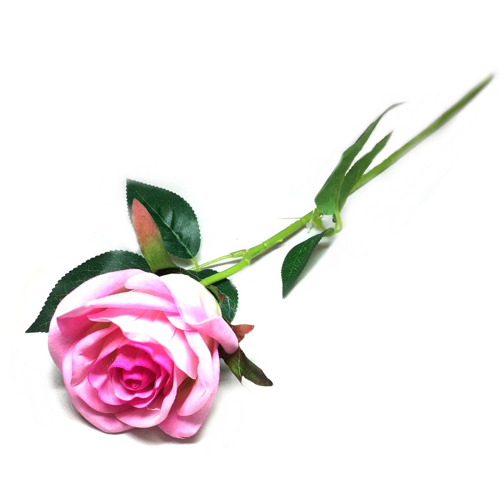 26 types of pink flowers: Noko Pink Rose Stick Flower Shopee Malaysia