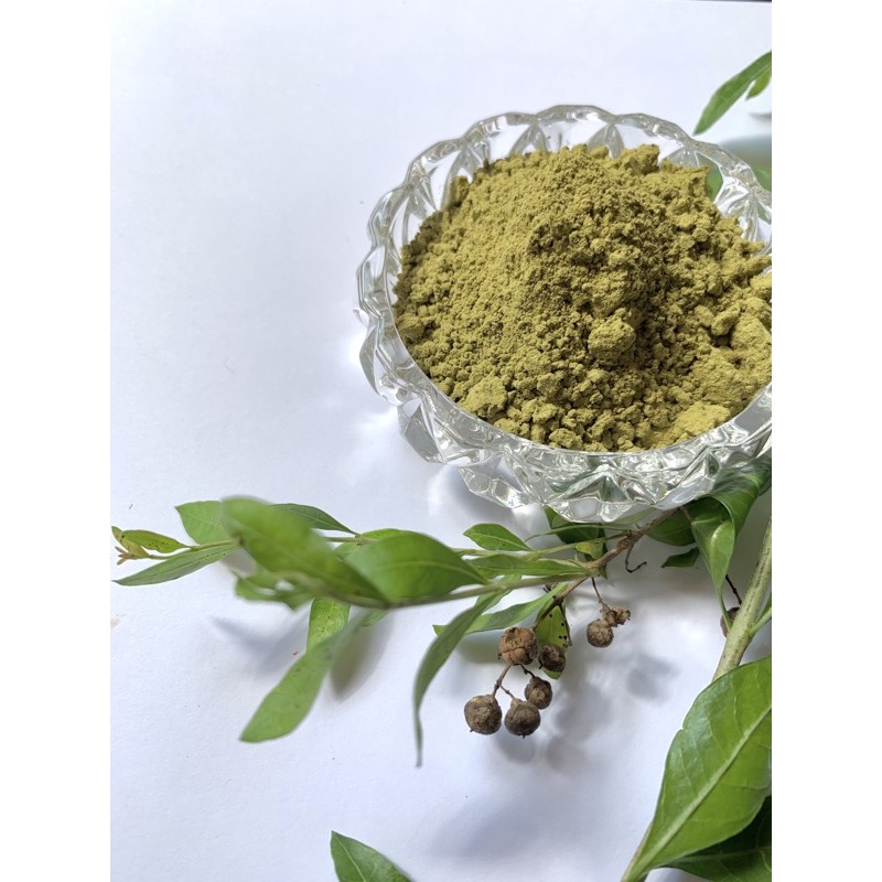 The leaf is used to make medicine. Buy Serbuk Inai Body Art Quality Baq Henna Powder 100g 100 Pure Seetracker Malaysia