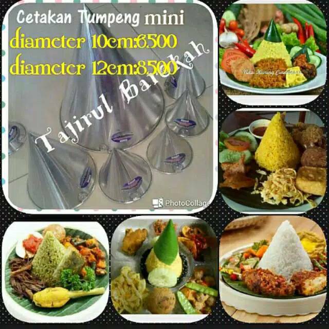 paten273
