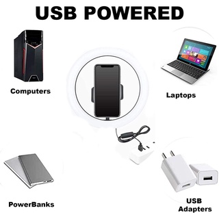 Hemrex LED Ring Light 10 Inch With Cell Phone Holder