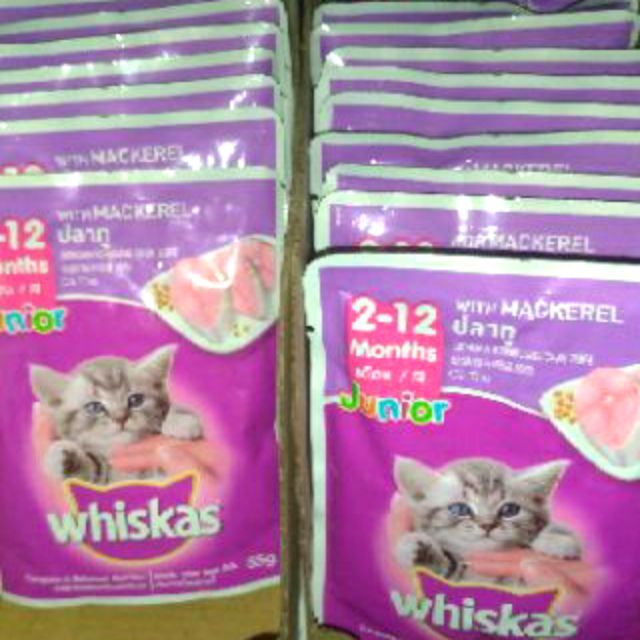You should feed the best quality food you can afford. Whiskas For Kitten 85g X 6 Shopee Philippines