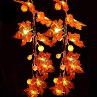 Enjoy free shipping on most stuff, even big stuff. Halloween Autumn Fairy Lights Best Prices And Online Promos May 2022 Shopee Philippines