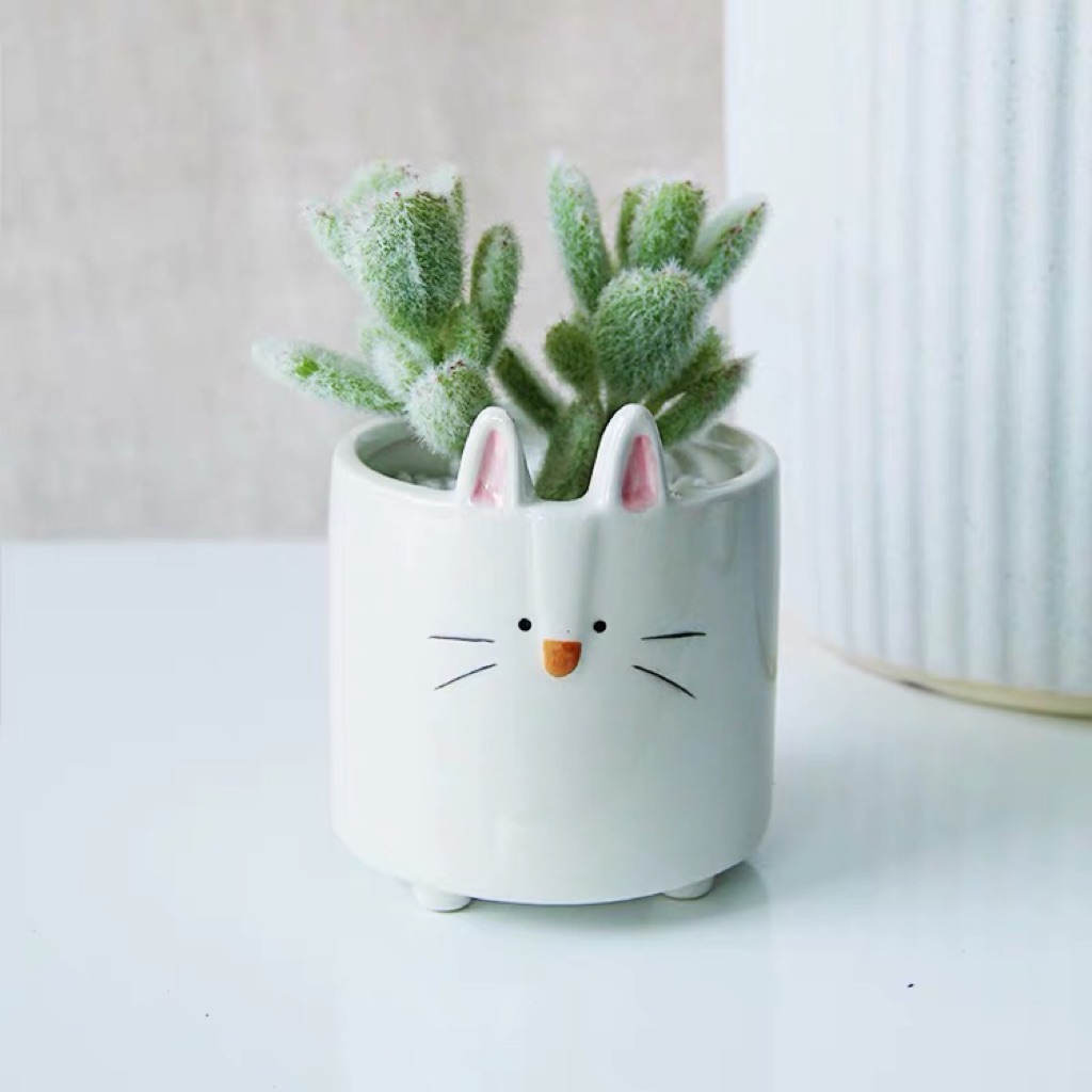 By debbie wolfe bobvila.com and its partners may earn a commission if you purchase a pro. Cute Animal Rabbit Bunny Succulent Plant Flower Pot Shopee Singapore