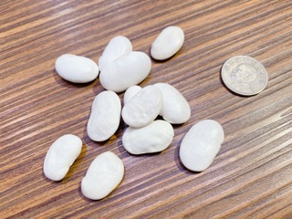 白鳳豆哪裡買白鳳豆 Bsmba