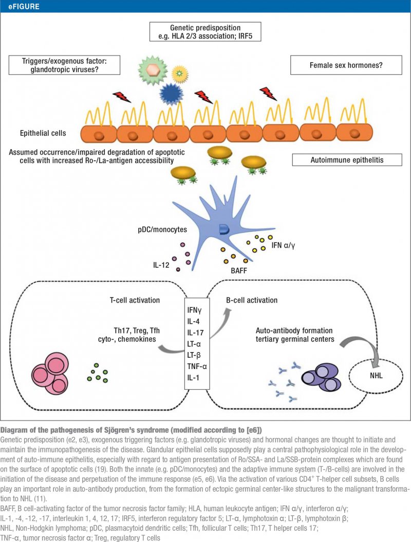 There has been evidence that genetics play an important role in the development of this . The Diagnosis And Treatment Of Sjogren S Syndrome 19 05 2017