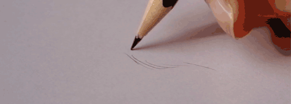 как нарисовать шкуру медведя