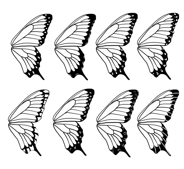 как рисовать крылья бабочки