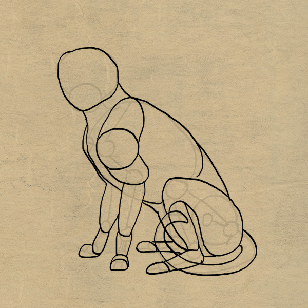 как нарисовать лапку кошки