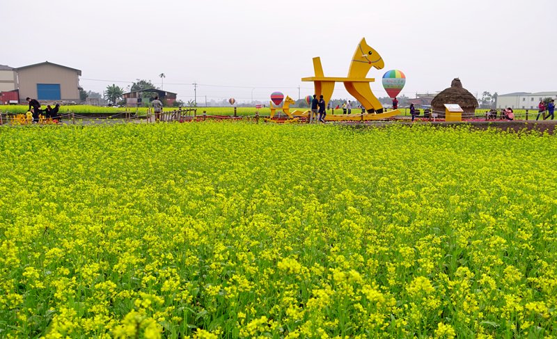 【宜蘭．三星】- 2015三星花海氣球嘉年華．來找療癒系的搖搖洛克馬