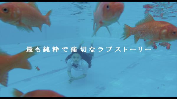 北影《廁所裡的聖殤》Pieta in the Toilet / トイレのピエタ