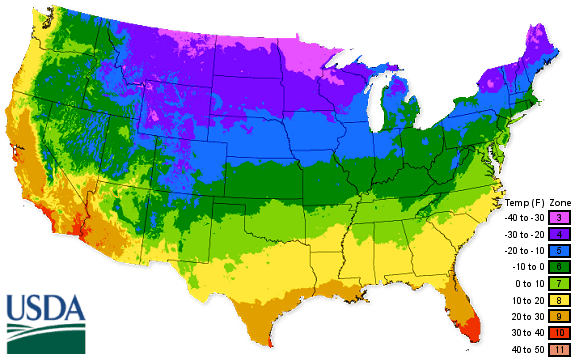Has 10 years of experience in gardening and has read widely in environmenta. Usda Plant Hardiness Zone Map Chestnut Hill Nursery