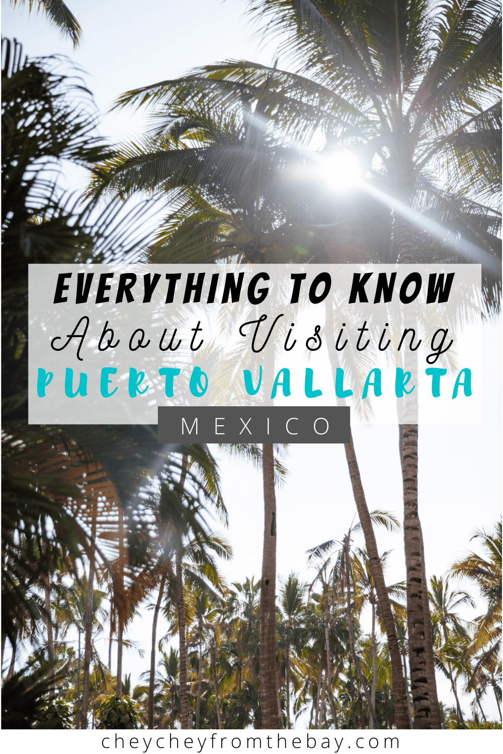This is the best guide for traveling to Puerto Vallarta, Mexico now!