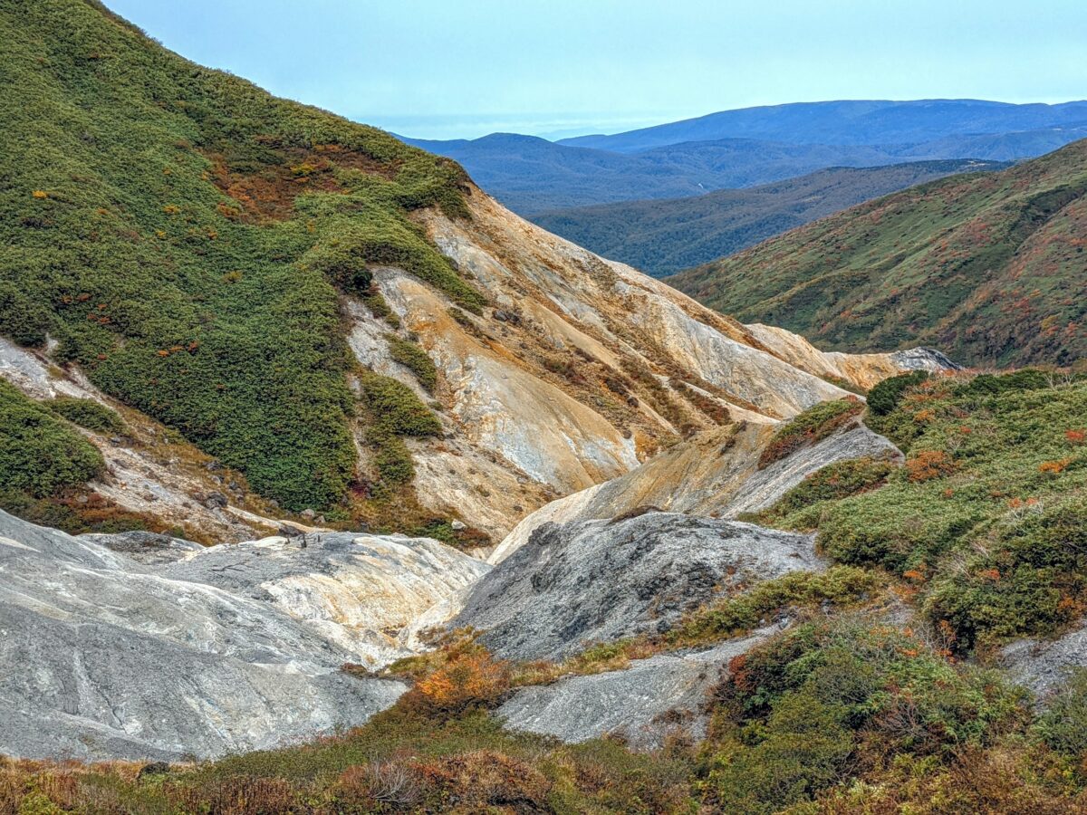 wp-1666365766823..jpg?fit=1200