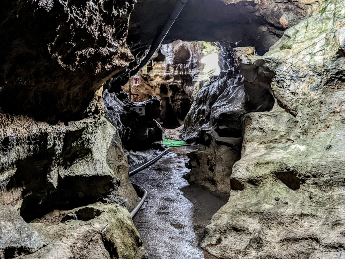 日本最古！？化石がたくさん見れる鍾乳洞『幽玄洞』（一関市） | シ