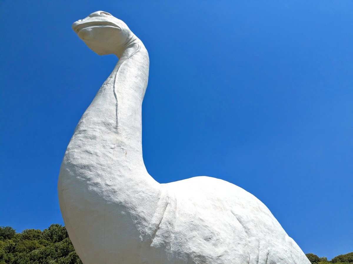 wp-1684797371002..jpg?fit=1024