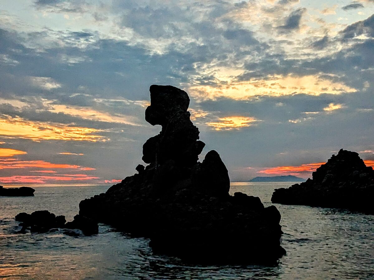 wp-1700608301456..jpg?fit=1024