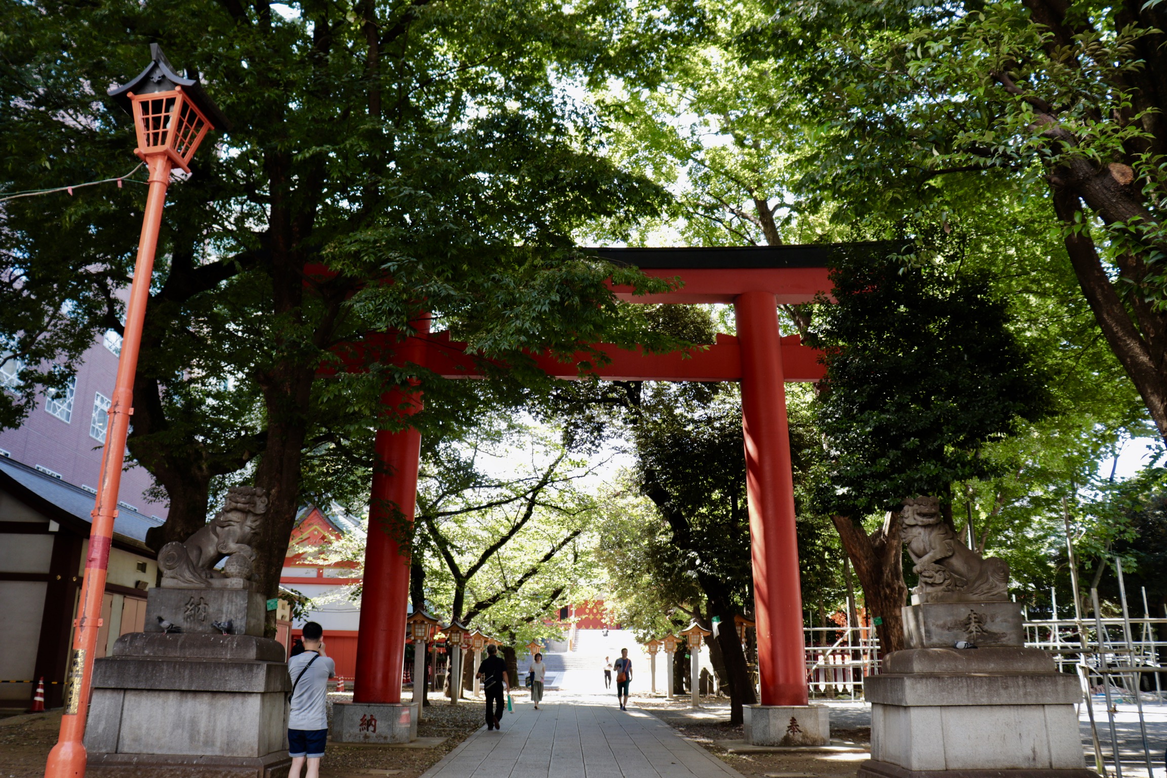 新宿花園神社へ行ってきた【東京の神社】 | ちくブロ