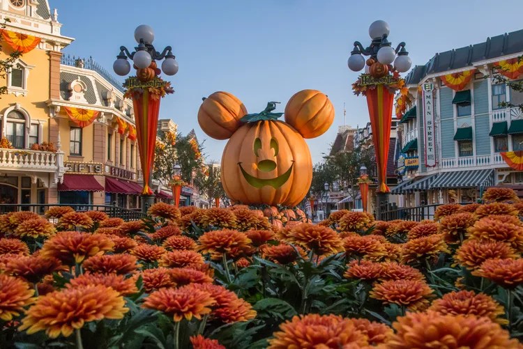 Halloween Returns to the Disneyland Resort starting TODAY! Halloween Returns to the Disneyland Resort starting TODAY!