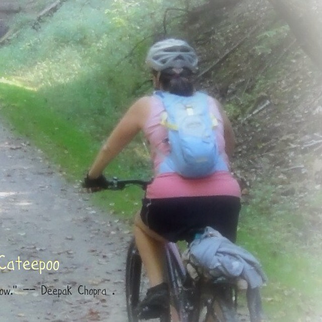 The Life and Adventures of Cateepoo