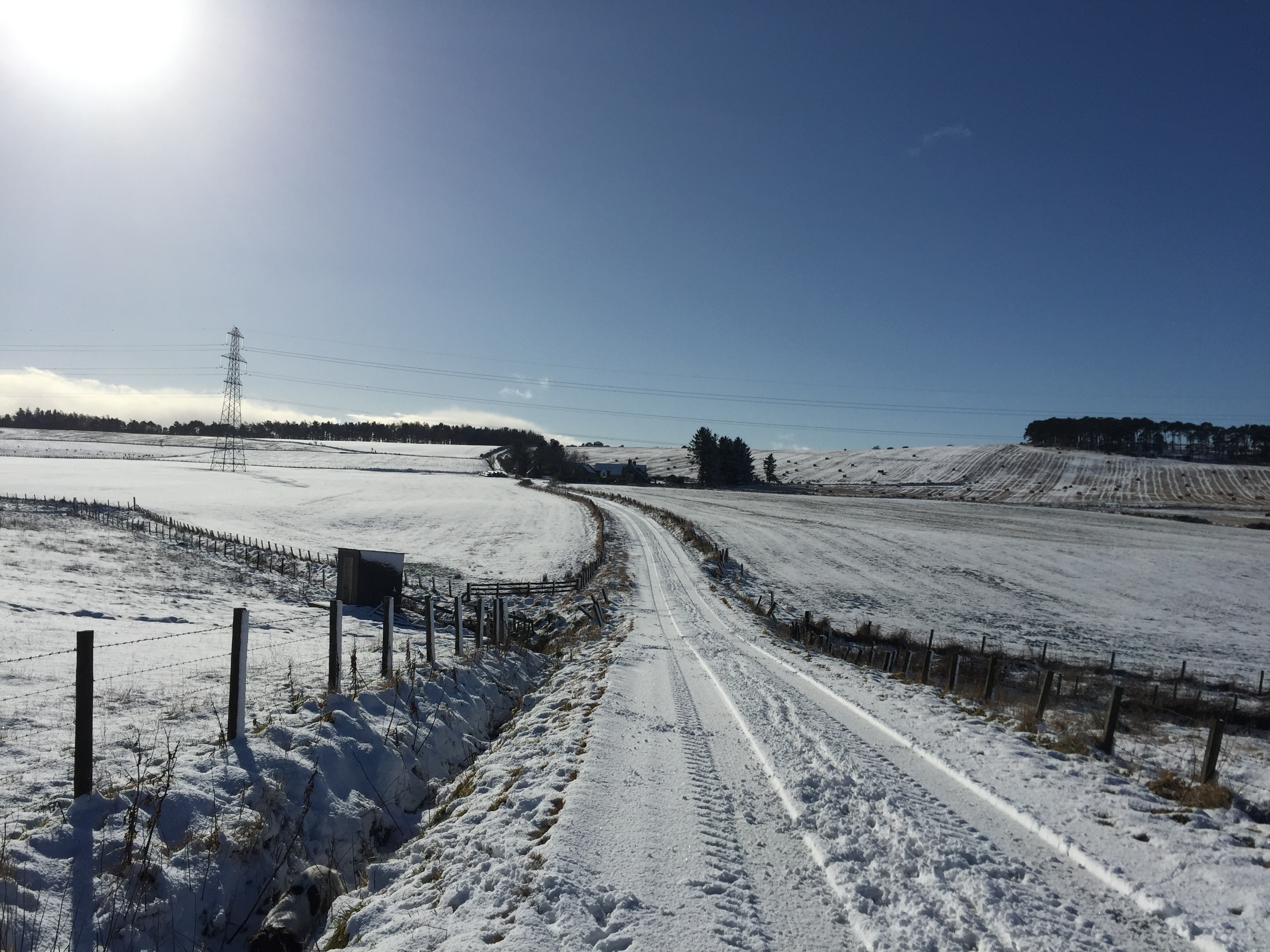 A Scottish Journey with Chronic Pain