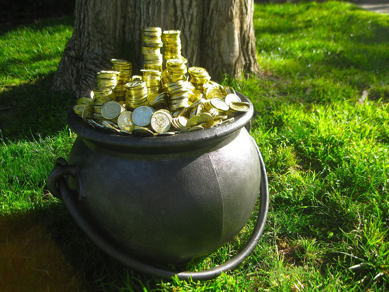In pots, the symptoms occur because the he. 138 Aulularia The Pot Of Gold By Plautus C 195 Bc Chronolit